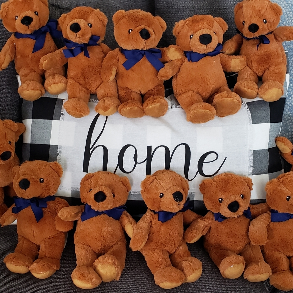 12 plush Teddy Bears